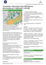 Naturtyper etter NiN Marine Bunnsystemer (NA-M) i målestokk 1:20 000