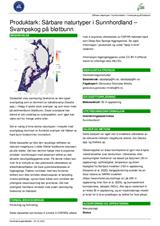 Sårbare naturtyper i Sunnhordland – Svampskog på bløtbunn